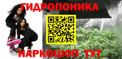 каннабис Уссурийск