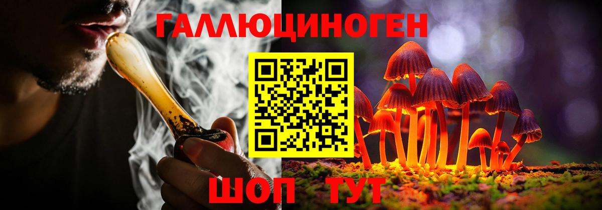 Галлюциногенные грибы Cubensis Лесной
