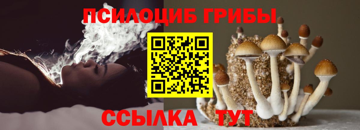 Галлюциногенные грибы мухоморы  Галлюциногенные грибы Psilocybe  Лесной  Вход с VPN 